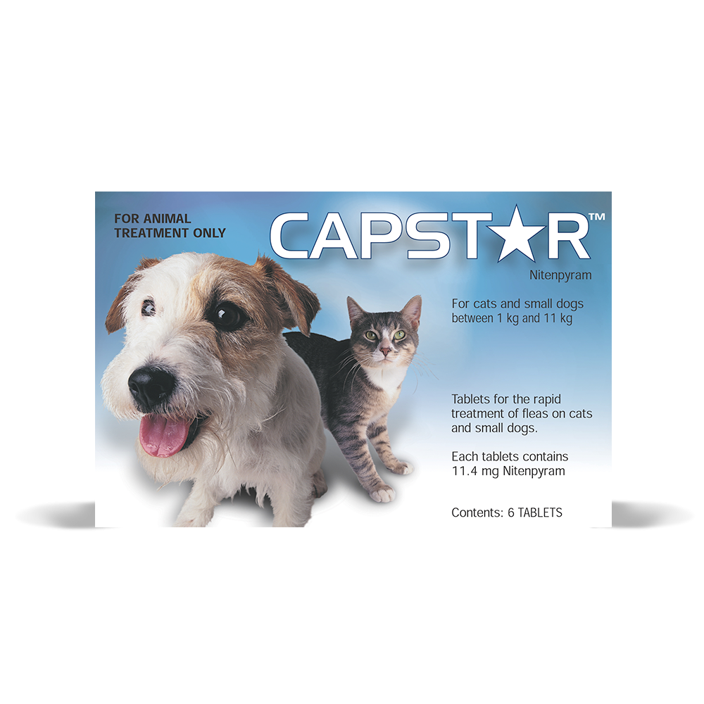 Capstar for kittens reviews hotsell