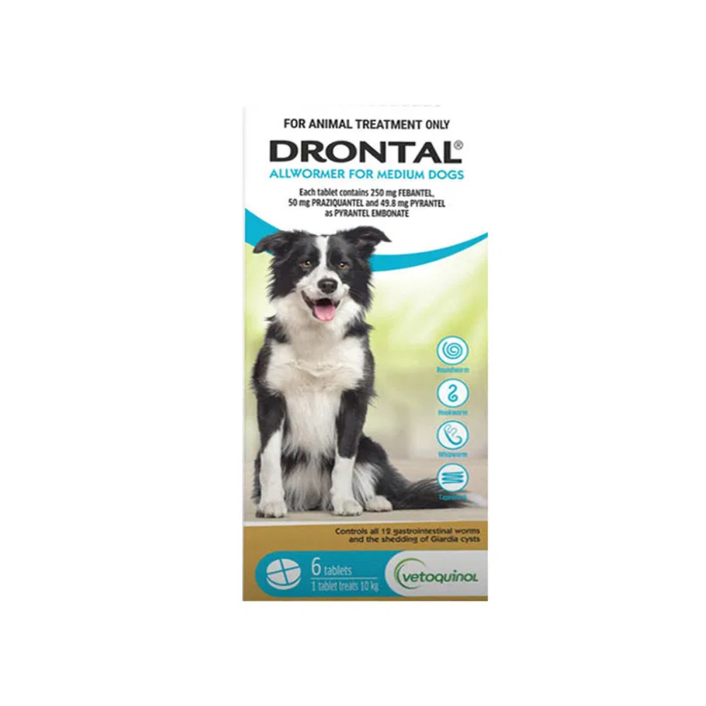 Drontal Allwormer Dog Medium 22lbs Tablets CanadaVet