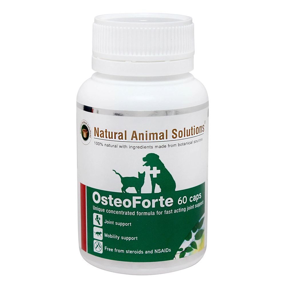 Natural pet solutions discount