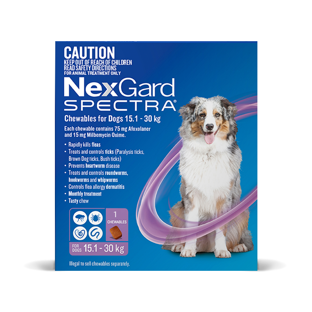 NexGard Spectra Dog Large 33.1 - 66.1lbs Purple CanadaVet