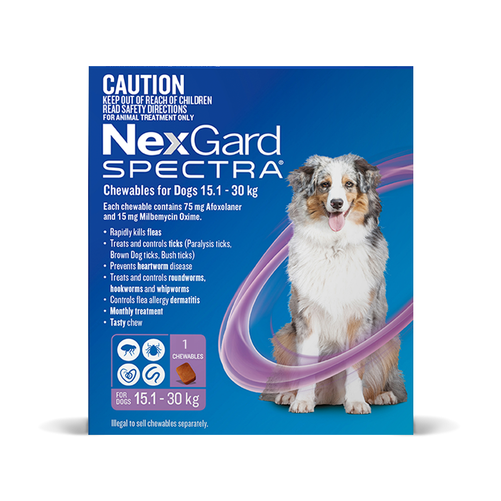 NexGard Spectra Dog Large 33.1 - 66.1lbs Purple CanadaVet