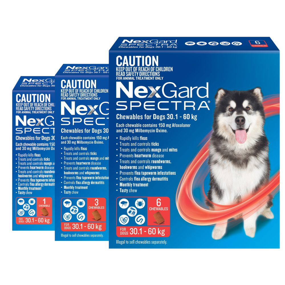 NexGard Spectra Dog Extra Large 66.2 132.2lbs Red CanadaVet