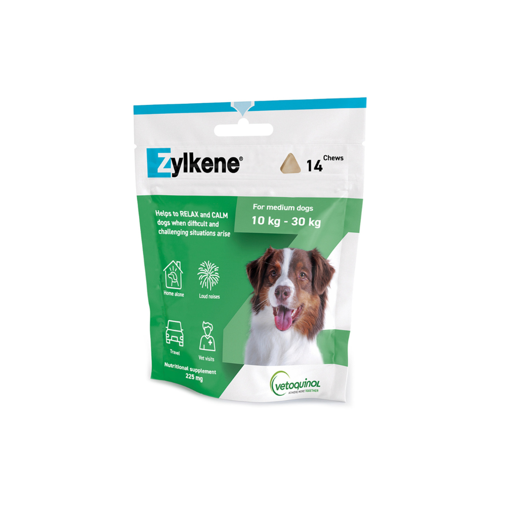 Dog zylkene top
