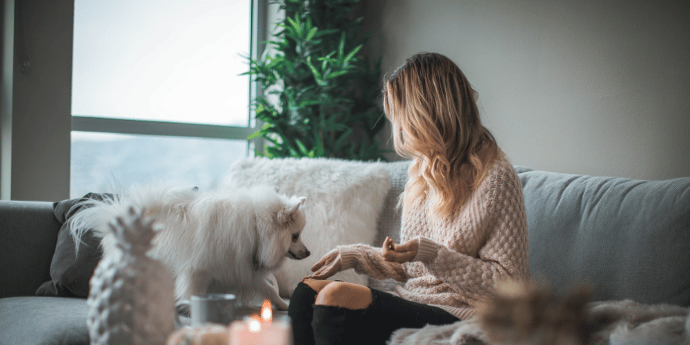 How To Get Your House To Not Smell Like Your Dog