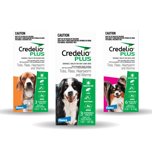 Credelio Plus for Dogs