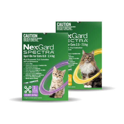 NexGard Spectra for Cats
