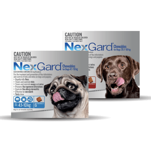 NexGard for Dogs