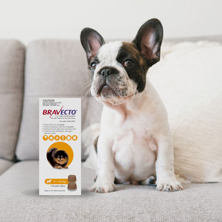 Bravecto for Dogs product image