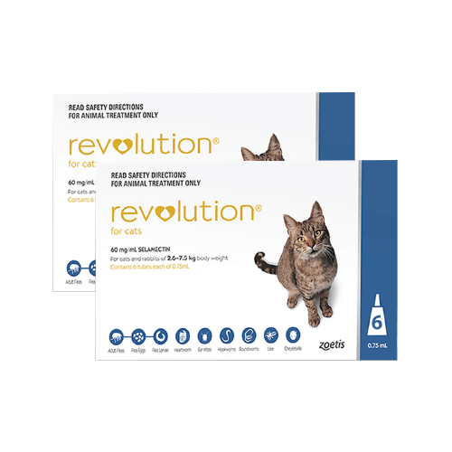 Revolution for Cats 12 pack product image