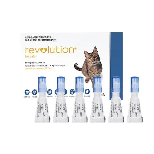 Revolution for Cats 6 pack product image