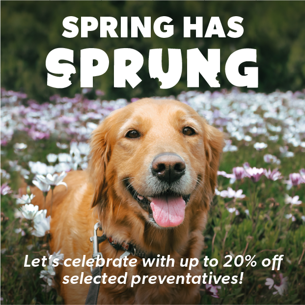 CanadaVet Specials