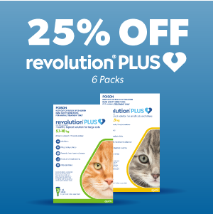 REvolution Plus