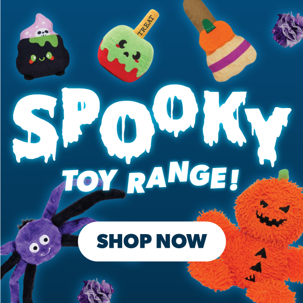 Halloween Toys