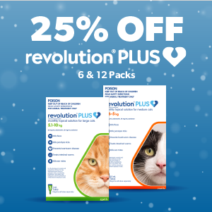 REvolution Plus