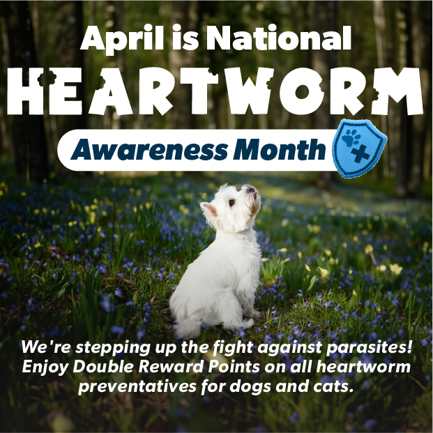 Pet Meds Without Vet Prescription CanadaVet 5 OFF