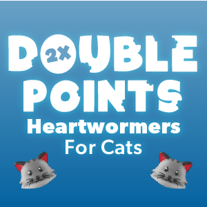 Cat Heartwormers