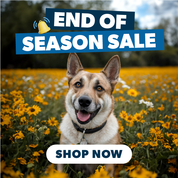 Pet Meds Without Vet Prescription CanadaVet 5 OFF